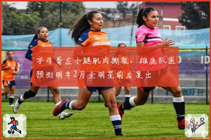 字母哥左小腿肌肉撕裂，雄鹿队医预测明年2月全明星前后复出