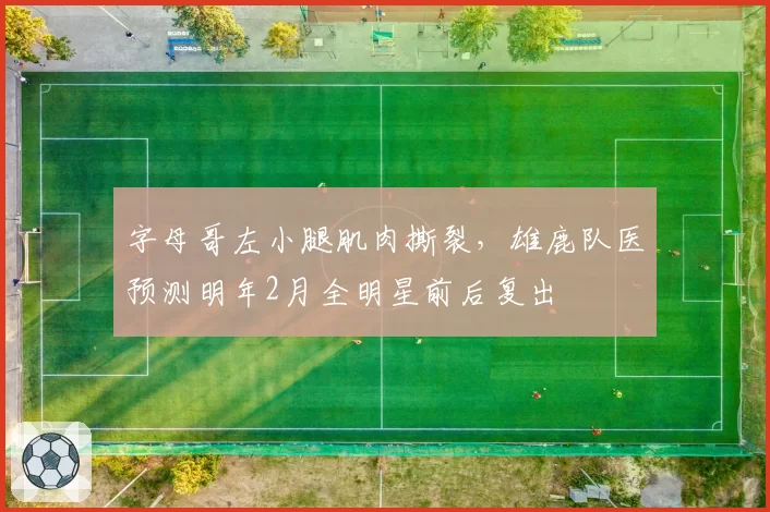 字母哥左小腿肌肉撕裂，雄鹿队医预测明年2月全明星前后复出