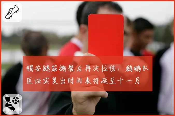 锡安腿筋撕裂后再次拉伤，鹈鹕队医证实复出时间表将延至十一月