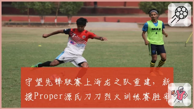 守望先锋联赛上海龙之队重建，新援Proper源氏刀刀烈火训练赛胜率飙升至73%
