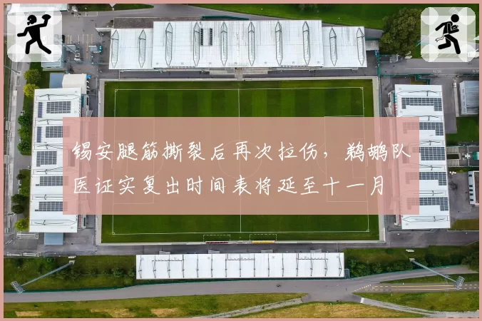 锡安腿筋撕裂后再次拉伤，鹈鹕队医证实复出时间表将延至十一月