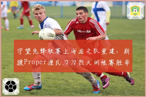 守望先锋联赛上海龙之队重建，新援Proper源氏刀刀烈火训练赛胜率飙升至73%